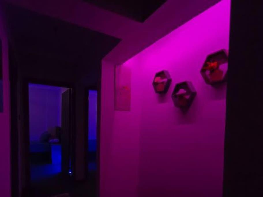 Apartment ترى النيل المعادى رقم 20 Cairo